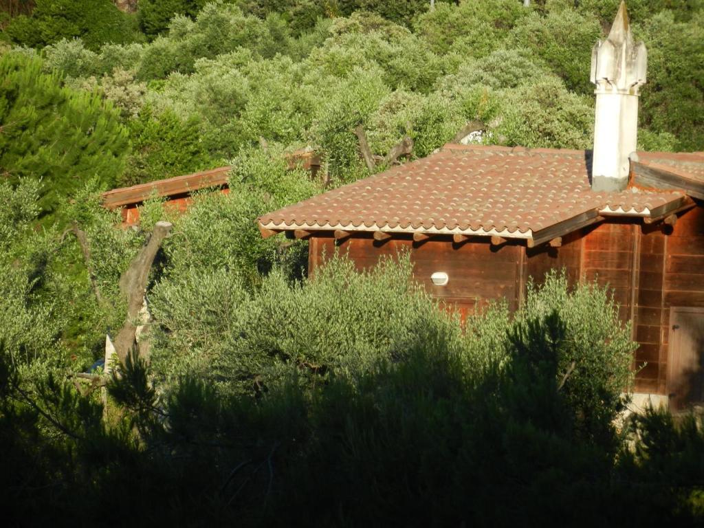 Tenuta Molino Di Mare- Ecoresort Con Villini 罗迪-加尔加尼科 外观 照片