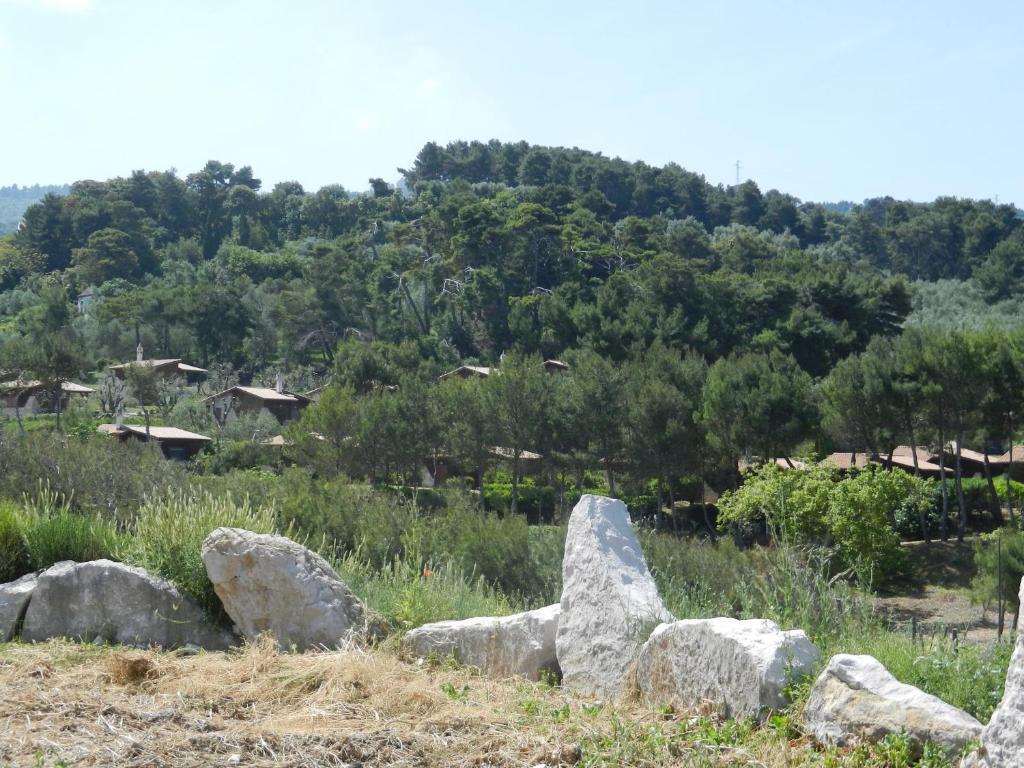 Tenuta Molino Di Mare- Ecoresort Con Villini 罗迪-加尔加尼科 外观 照片