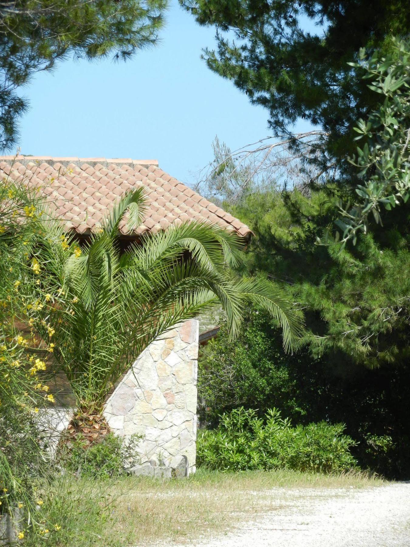 Tenuta Molino Di Mare- Ecoresort Con Villini 罗迪-加尔加尼科 外观 照片