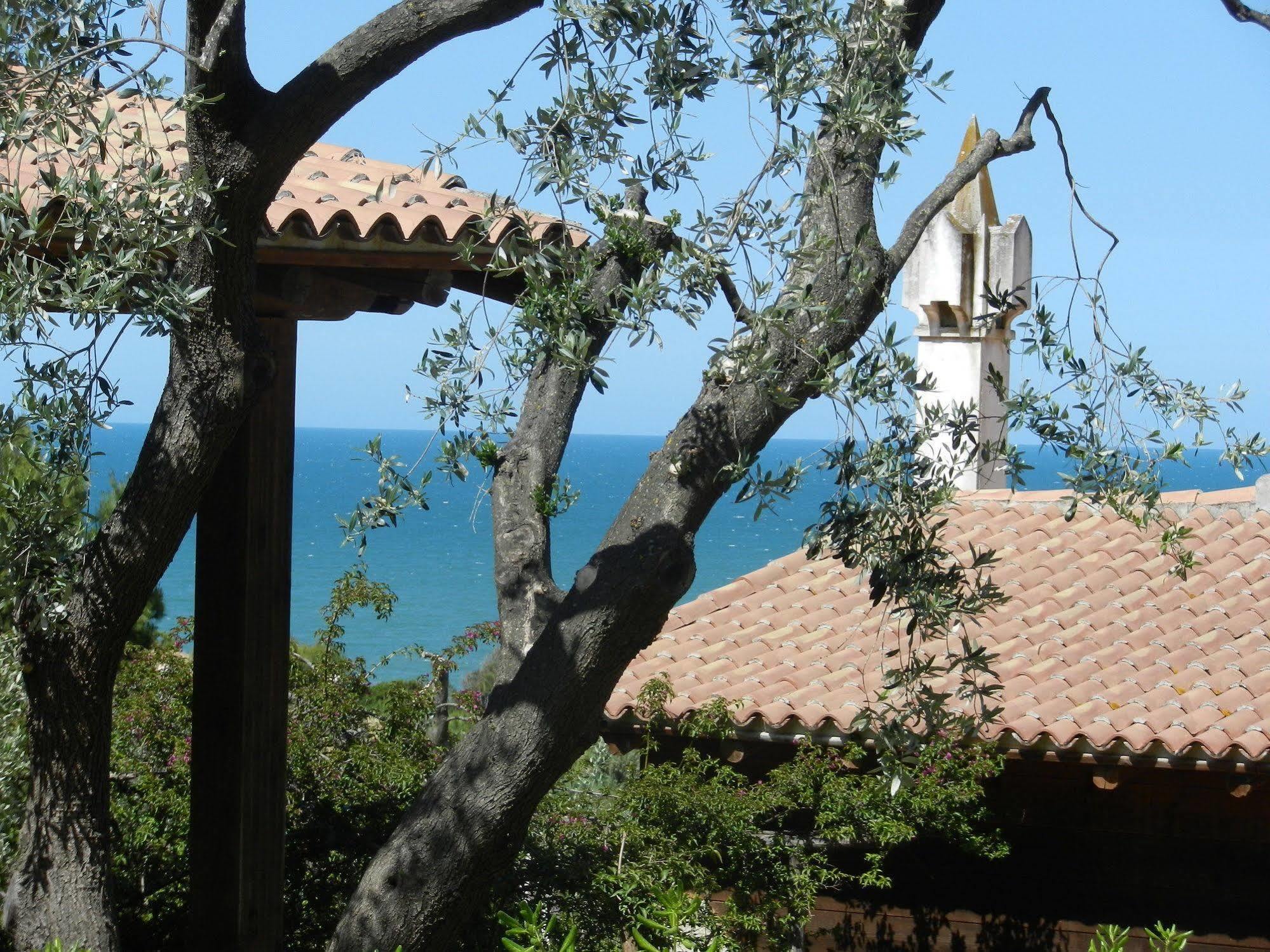 Tenuta Molino Di Mare- Ecoresort Con Villini 罗迪-加尔加尼科 外观 照片