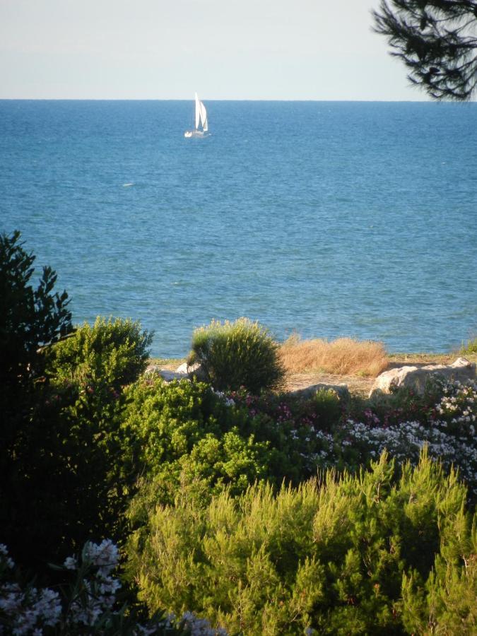 Tenuta Molino Di Mare- Ecoresort Con Villini 罗迪-加尔加尼科 外观 照片